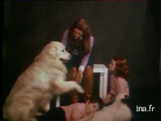 Sheila L'arche de Noé