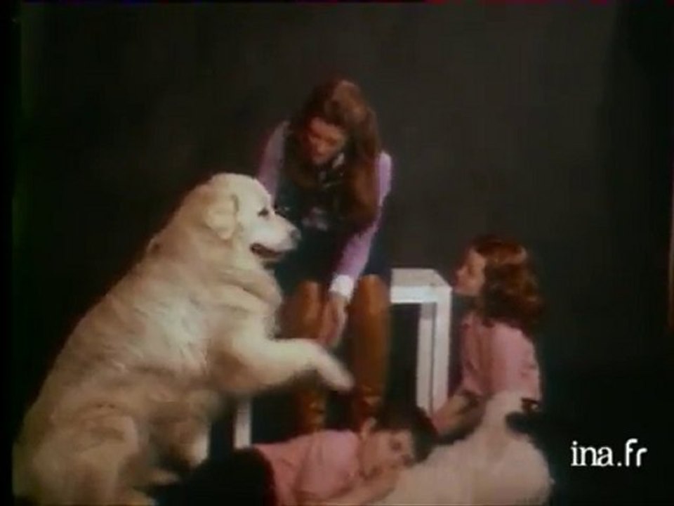 Sheila L'arche de Noé