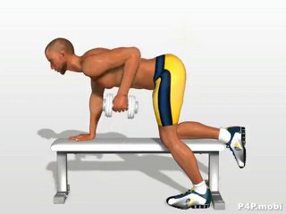 Ejercicio para sacar Musculo Espalda Dorsales