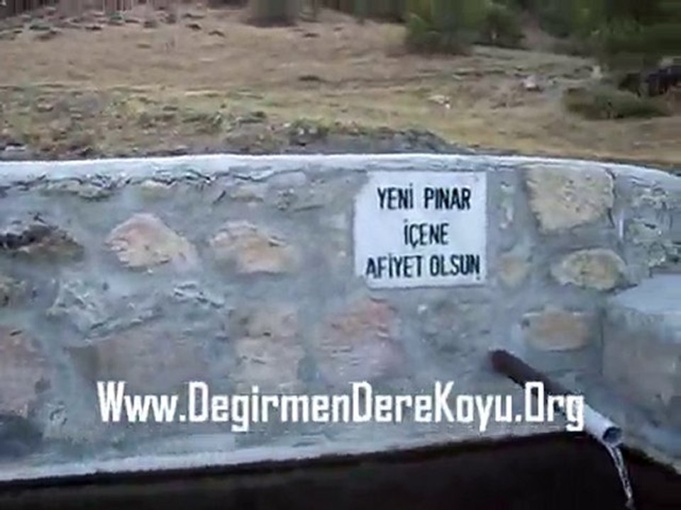 Çorum,Alaca,Değirmendere Köyü,Orman1