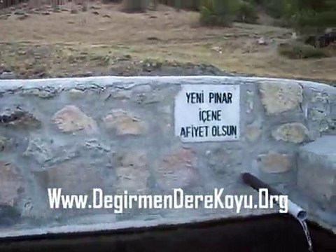 Çorum,Alaca,Değirmendere Köyü,Orman1