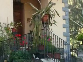 Palazzuolo sul Senio