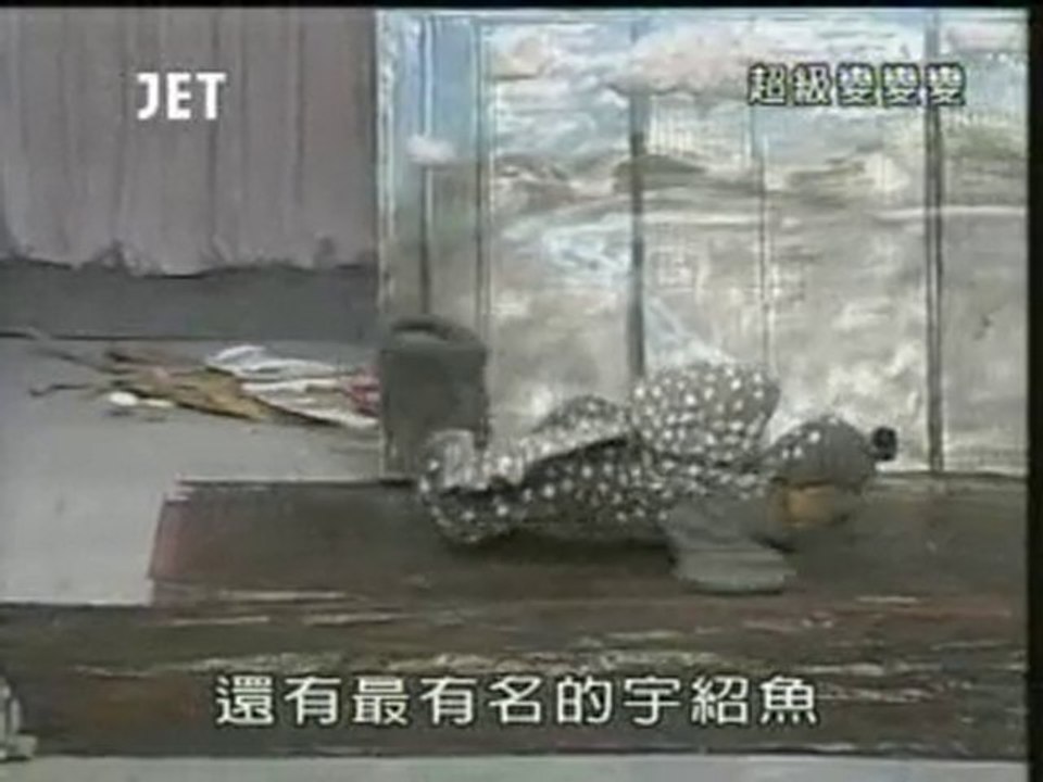 23回47番 有明海の人気者
