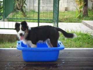 Floyd : l'heure du bain !!!