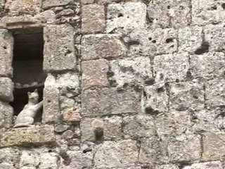 La Légende des Chats par Benjamin Foudral