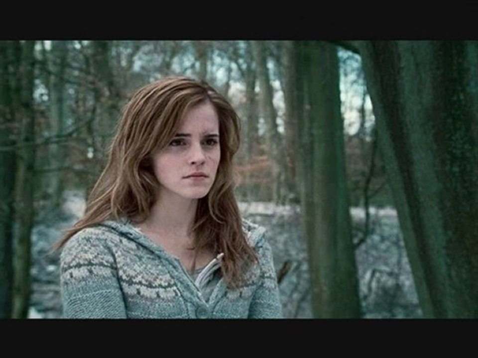 Harry Potter 7 dans ta ville _ soutiens Rennes