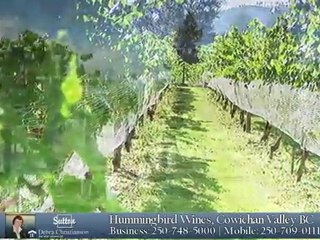 Hummingbird Wines Cowichan Valley BC Vineyard Property Sale