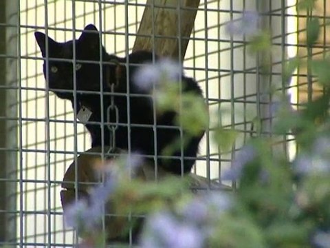 Calaisis TV : L'oeilleton : LPA 3 benevole