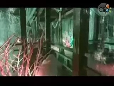 Liêu Trai Ph n 3(50)