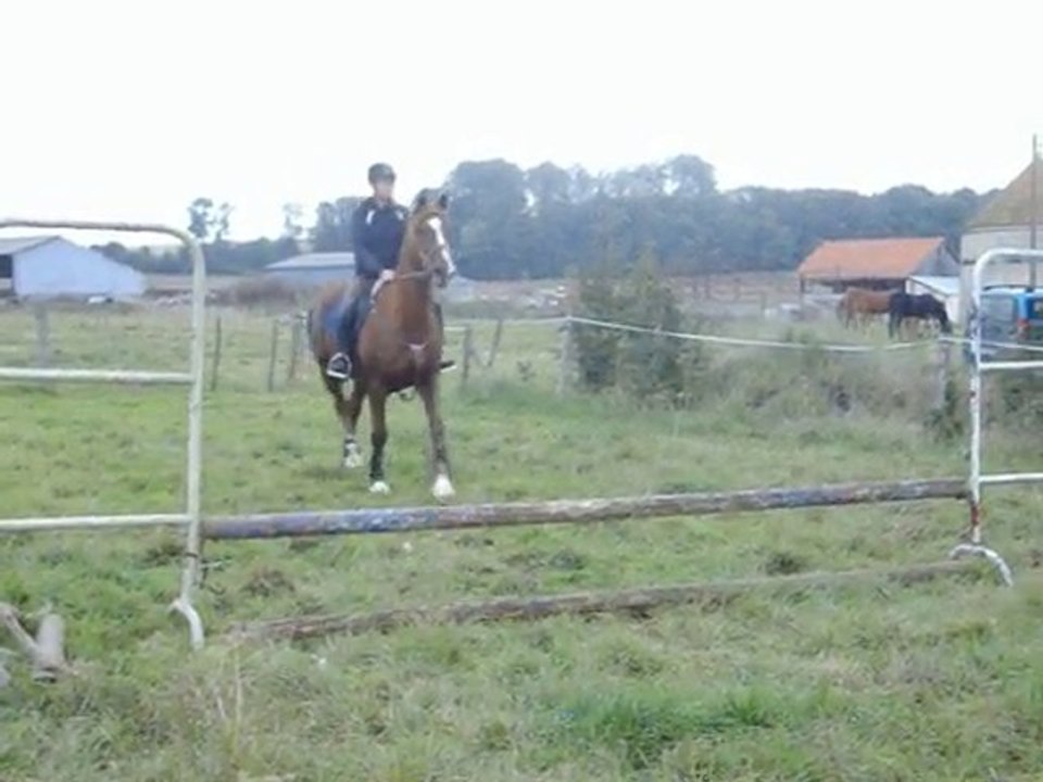 saut ac gabe