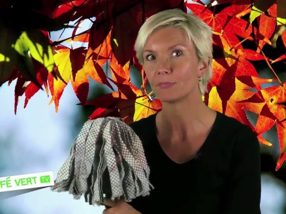 #15 Le grand ménage