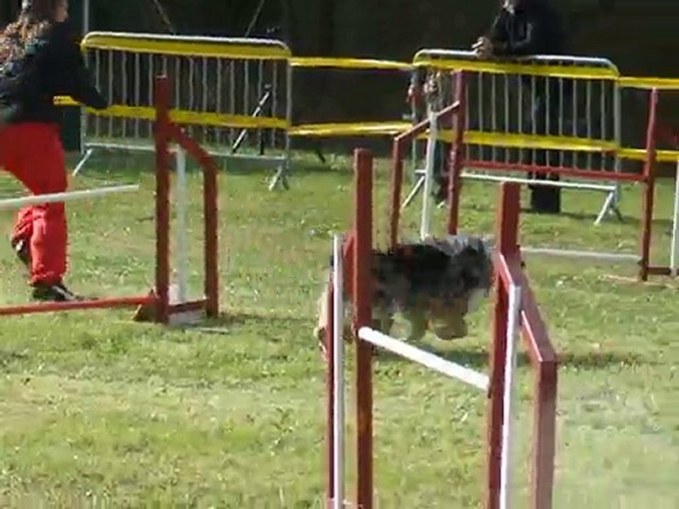 Under GPF Bonrepos 2010