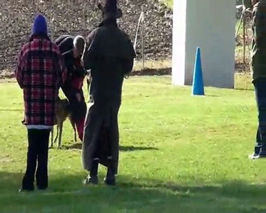 Alaska de Cantreine échelon 3