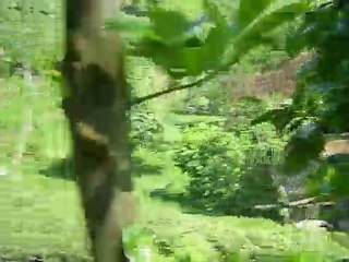 IMG_0001yeşilköy/kalkandere/rize