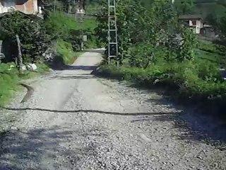 IMG_0003yeşilköy/kalkandere/rize