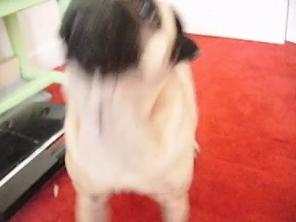 video ex