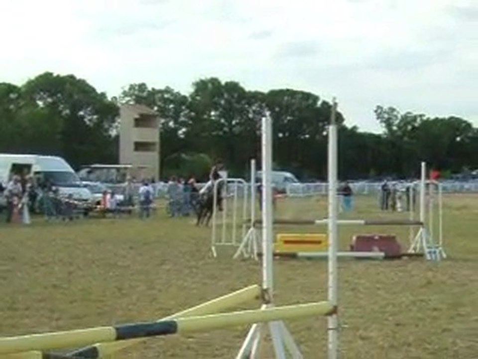 Concours Bollène 03/10/10 80cm