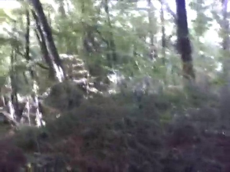 video d'aisoft chilly