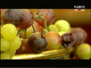 Les Grandes Erreurs Militaires 3 part1