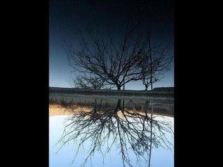 edip akbayram akşamlar