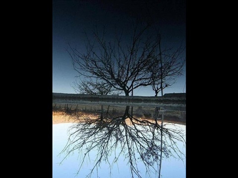 edip akbayram akşamlar