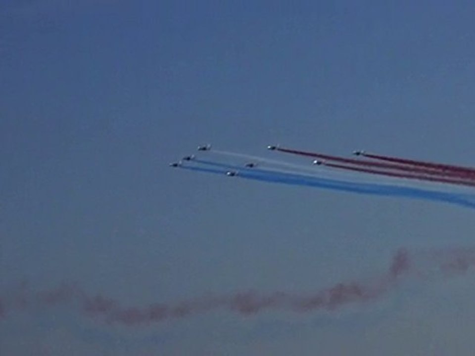 cervolix 2010 PAF