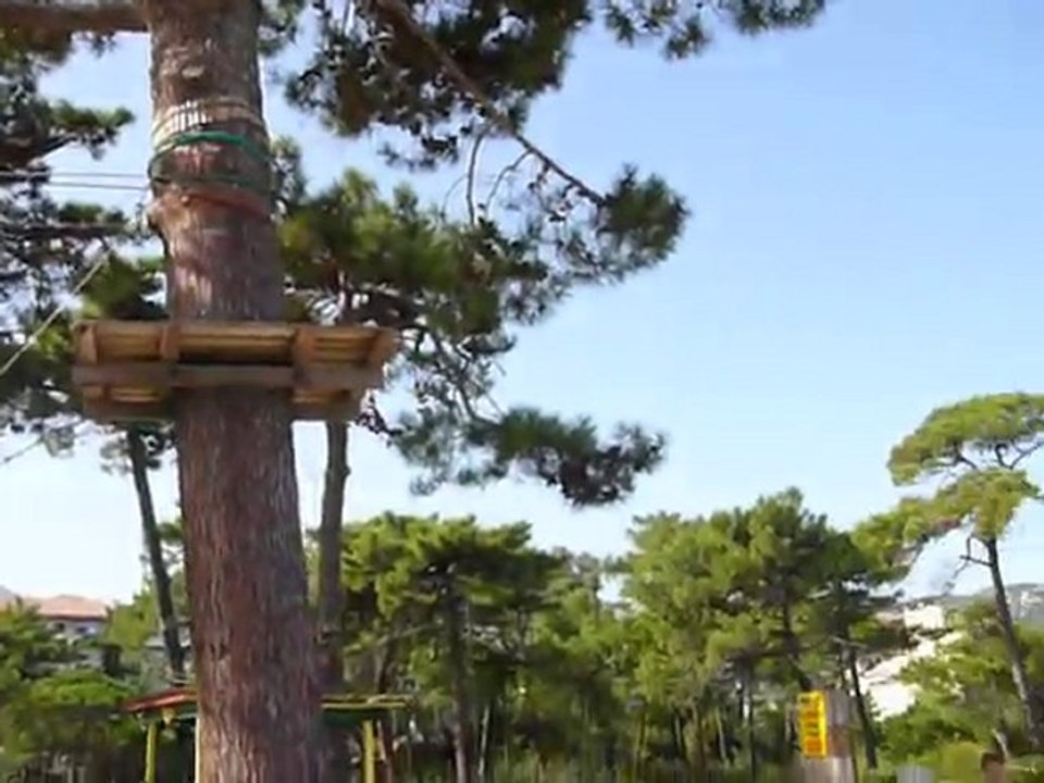 Corse le petit train