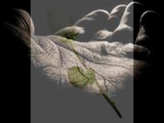 Nâdanı terk etmeden