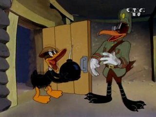 Patak Daca - Komandos