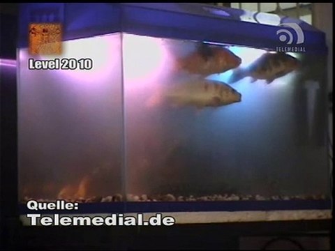 Kanal Telemedial - Big Fish 34 - April 22, 2010