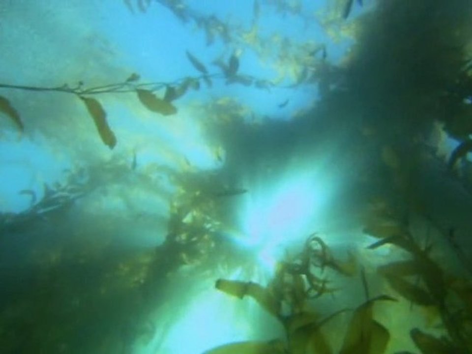 chanson d'amour- L'avenir comme autrefois -Ferrand-Philonico