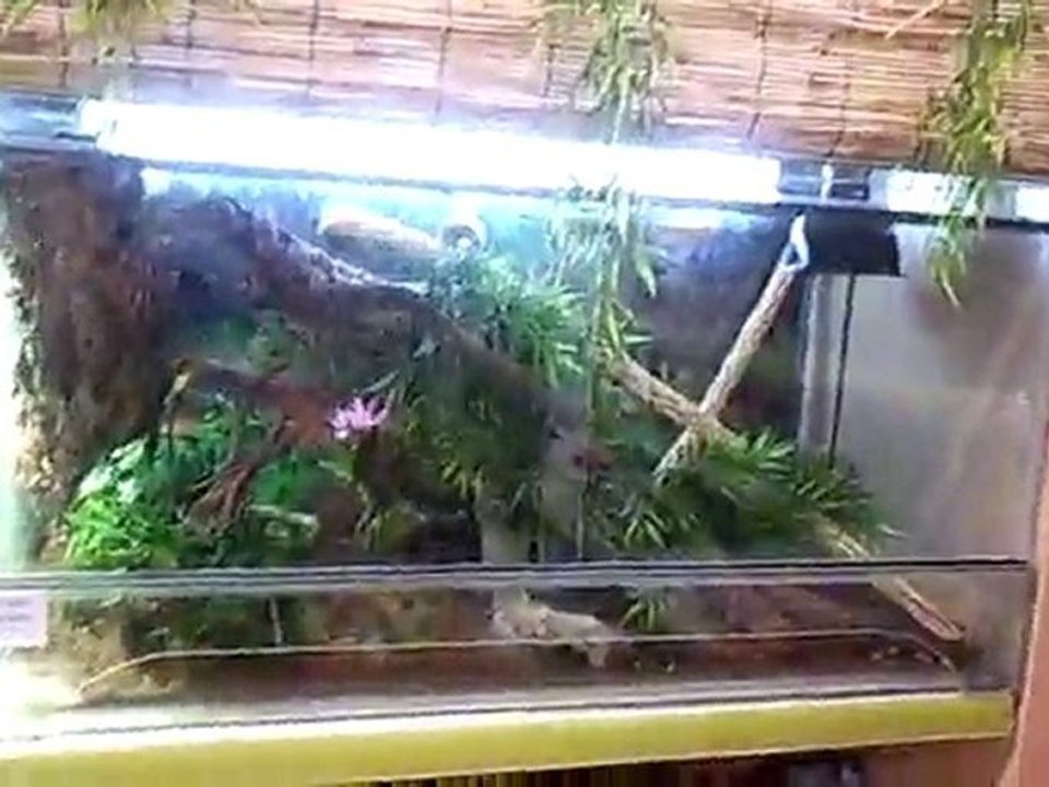Vidéo0014