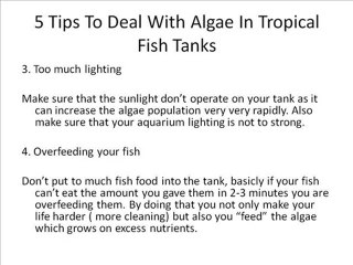 5 Tips To Deal With Algae In Tropical Fish Tanks