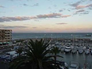 Les allées et venues des piafs à Port-Barcarès