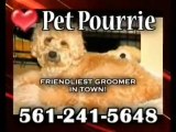 Pet Pourrie, Professional Dog grooming, Boca Raton, Fl, Pai