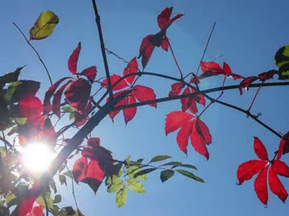 Parc de Marimont un beau jour d'automne