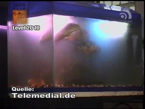 Kanal Telemedial - Big Fish 38 - April 22, 2010