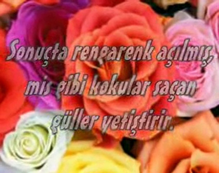 Cennet ve cemalullah
