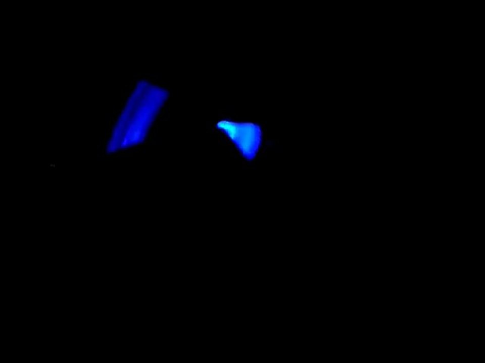 Glow Nunchuck 51shjg