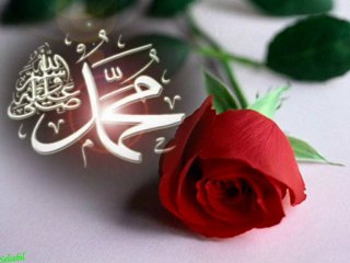 MEHMET SEYİTOĞLU - KANE MUHAMMED MUSTAFA ( s.a.v )