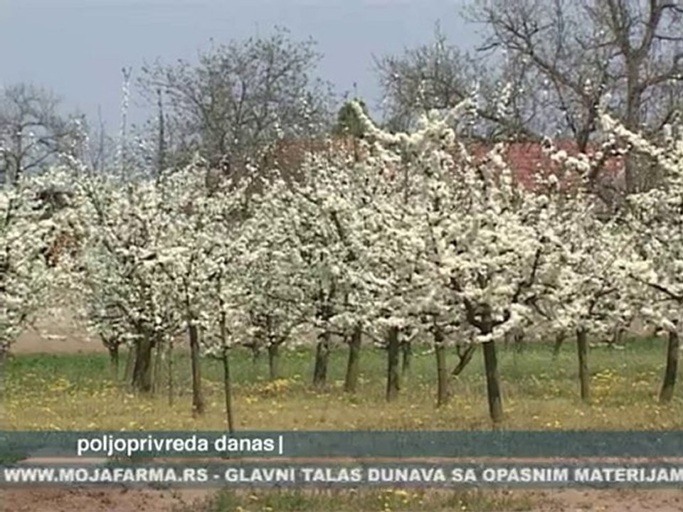Poljoprivreda danas 11.10.2010.