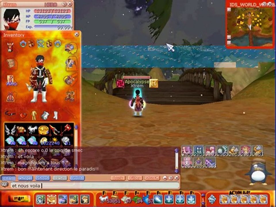 Serveur Priver Flyff