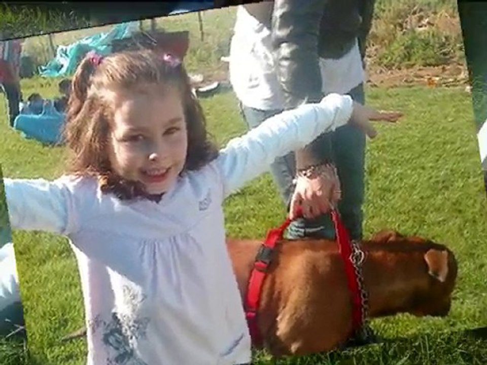 Dimanche avec des amis