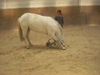 Keops de pecherie : campo