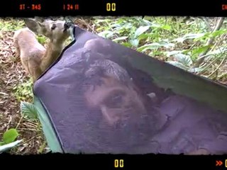 kesif ve macera LIKEN