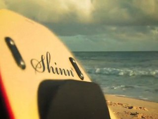 Explore Mark Shinn's Art with Shinn Waterbird 🎨