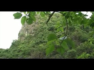 Cùng Á hậu Ngọc Oanh và du thuyền Bhaya khám phá Hạ Long