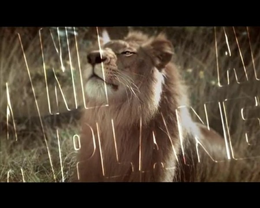 Animal Planet Lion Ident