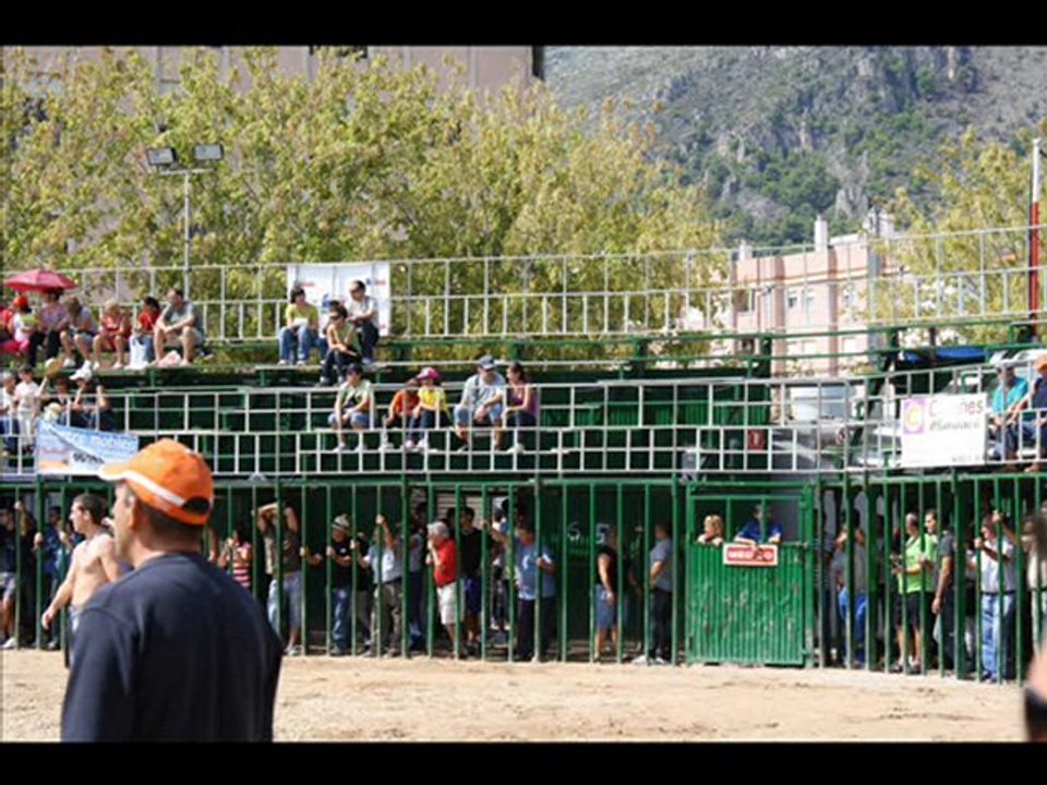 Fiestas Tavernes 2009