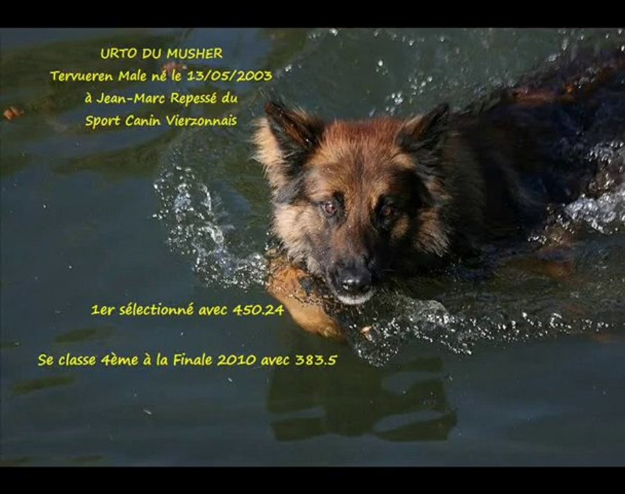 Finale 2010 de Travail Pratique en Campagne - Urto du Musher